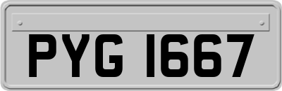 PYG1667