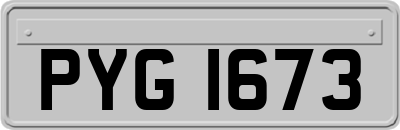 PYG1673