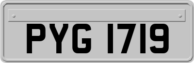 PYG1719