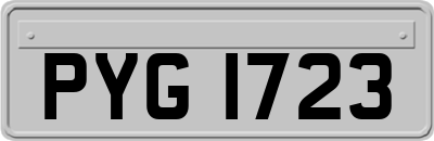 PYG1723