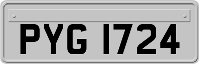 PYG1724