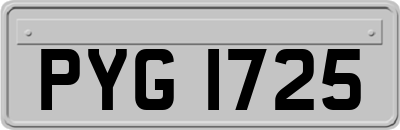 PYG1725