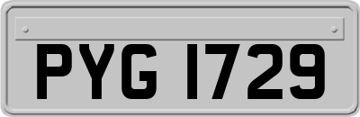 PYG1729