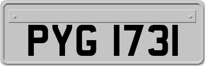 PYG1731