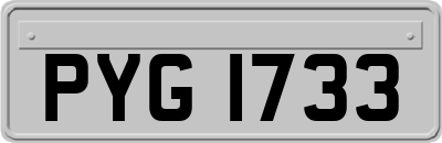 PYG1733