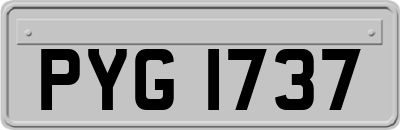 PYG1737