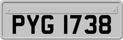 PYG1738