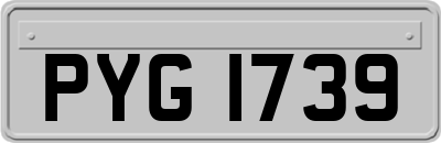 PYG1739