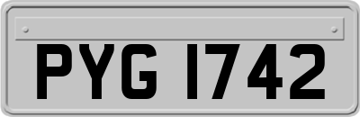 PYG1742