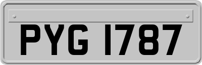 PYG1787