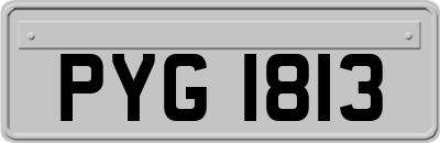 PYG1813