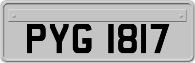 PYG1817