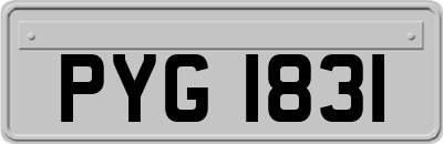 PYG1831