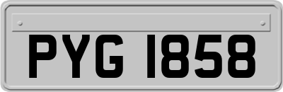 PYG1858