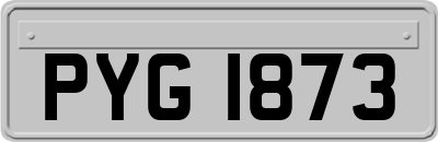 PYG1873