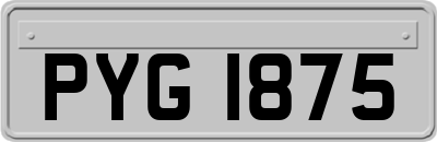 PYG1875