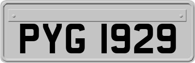 PYG1929