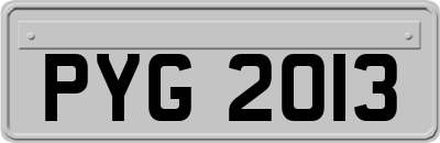 PYG2013