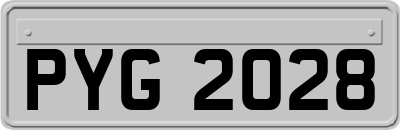 PYG2028