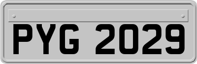 PYG2029