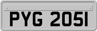 PYG2051