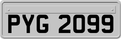 PYG2099