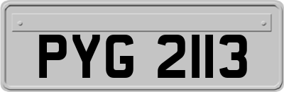 PYG2113