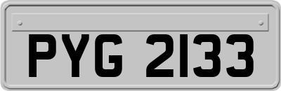 PYG2133