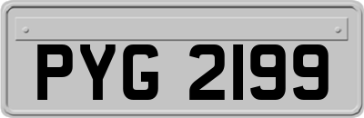 PYG2199