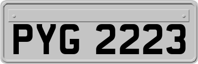 PYG2223