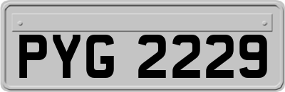 PYG2229