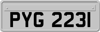 PYG2231