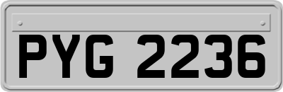 PYG2236