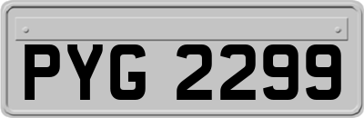 PYG2299