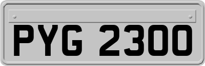 PYG2300