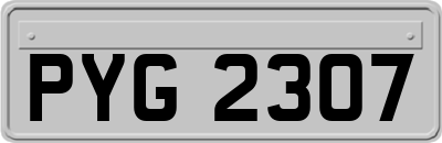 PYG2307