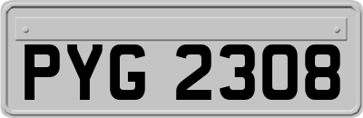 PYG2308