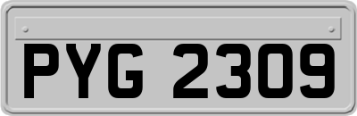 PYG2309