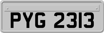 PYG2313