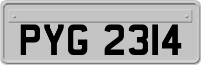 PYG2314