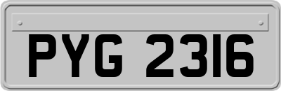 PYG2316