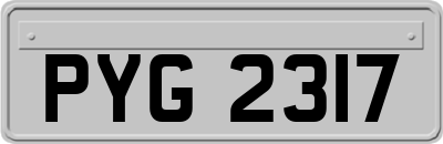 PYG2317