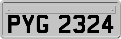 PYG2324