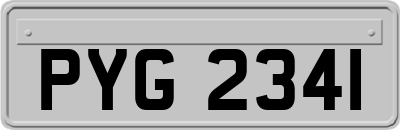 PYG2341