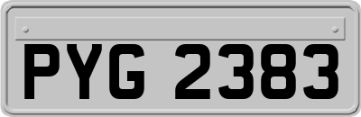 PYG2383