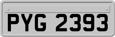 PYG2393