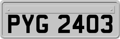 PYG2403