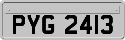 PYG2413