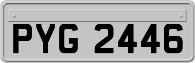 PYG2446