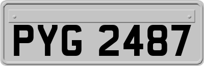 PYG2487